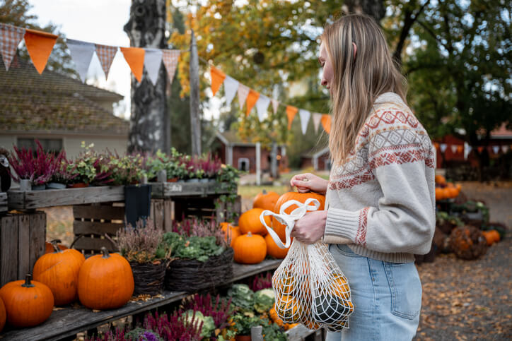 Herbstmärkte in Bamberg – Eure Ausflugsziele für den Herbst 2025