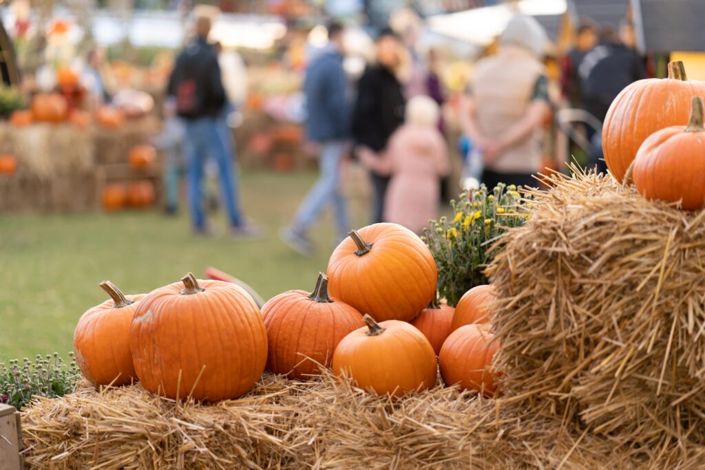 Kürbisse auf Stroh mit Menschen im Hintergrund Herbst Bucketlist
