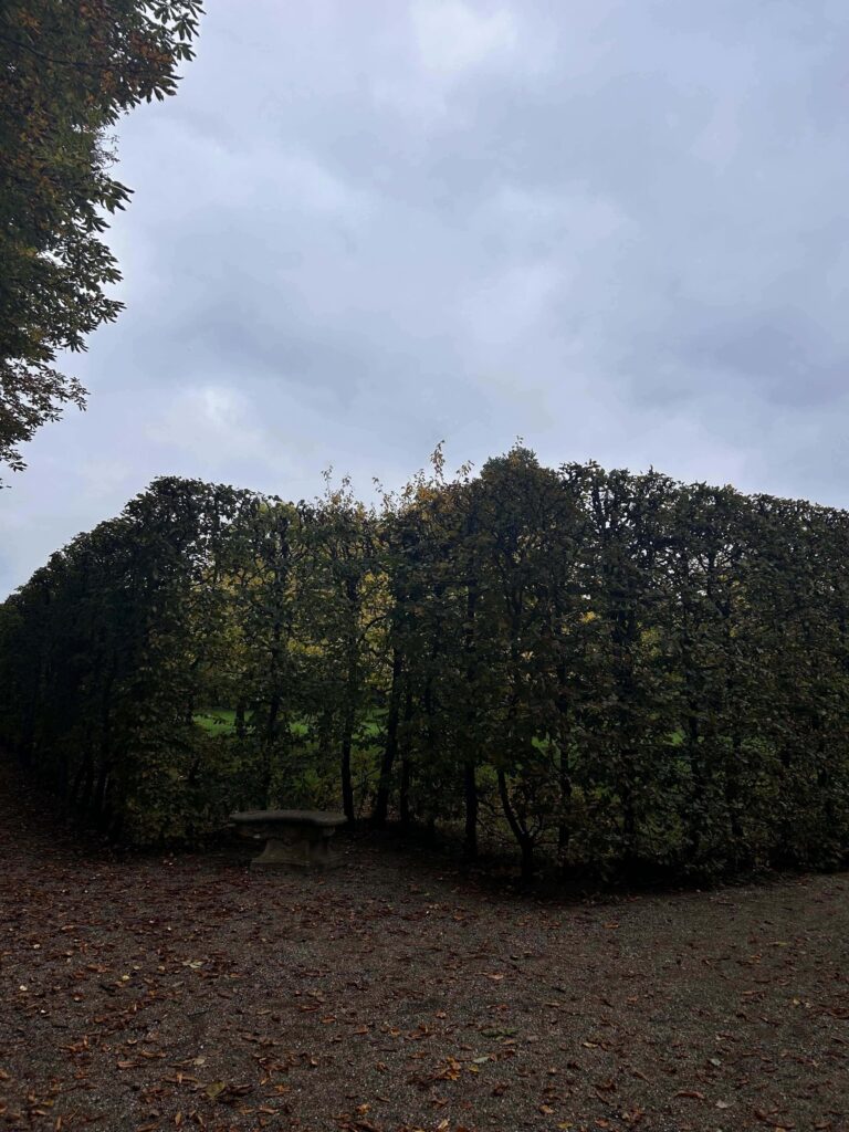 Herbstliche Natur in Bamberg für die Herbst Bucketlist