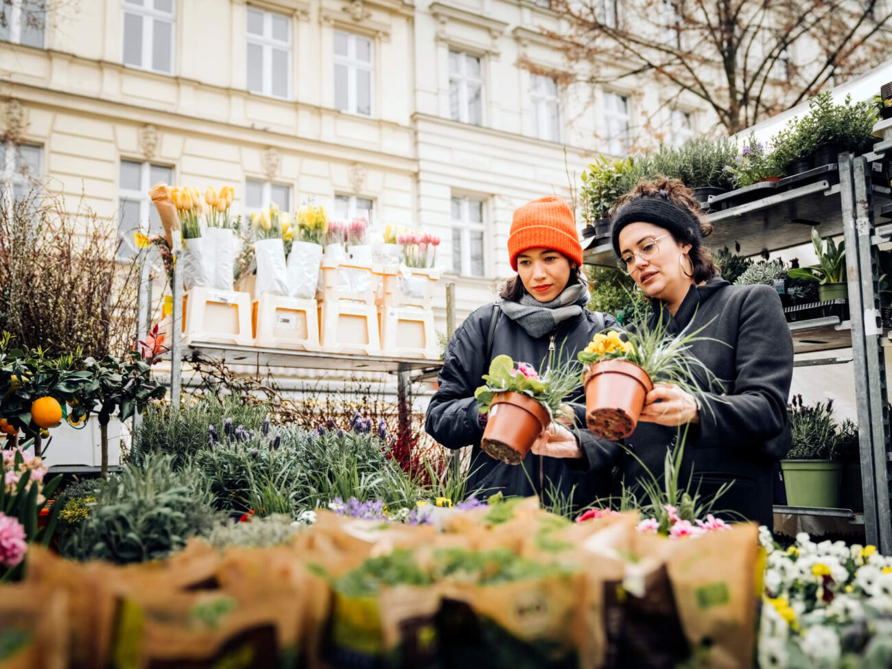 Frühlingsmärkte in Bamberg – der Start in die warme Jahreszeit