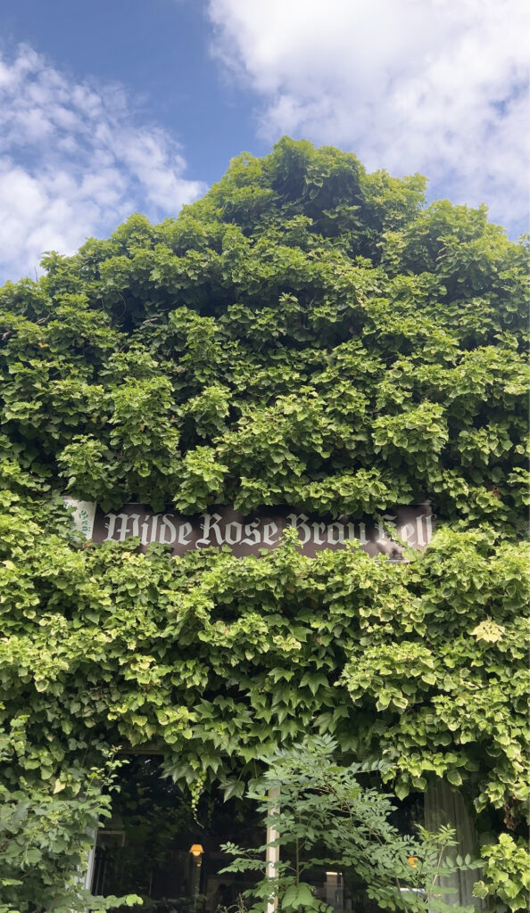 Schon am Eingang urig: Der Wilde Rose Keller auf dem Stephansberg.